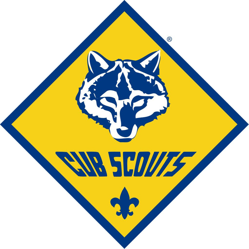 Cub Scouts