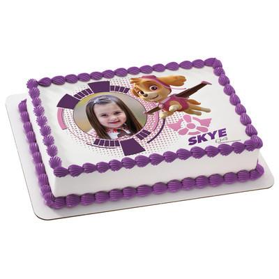 PAW Patrol Skye Frame