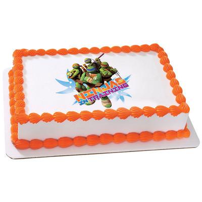 TMNT - Ninja in Training